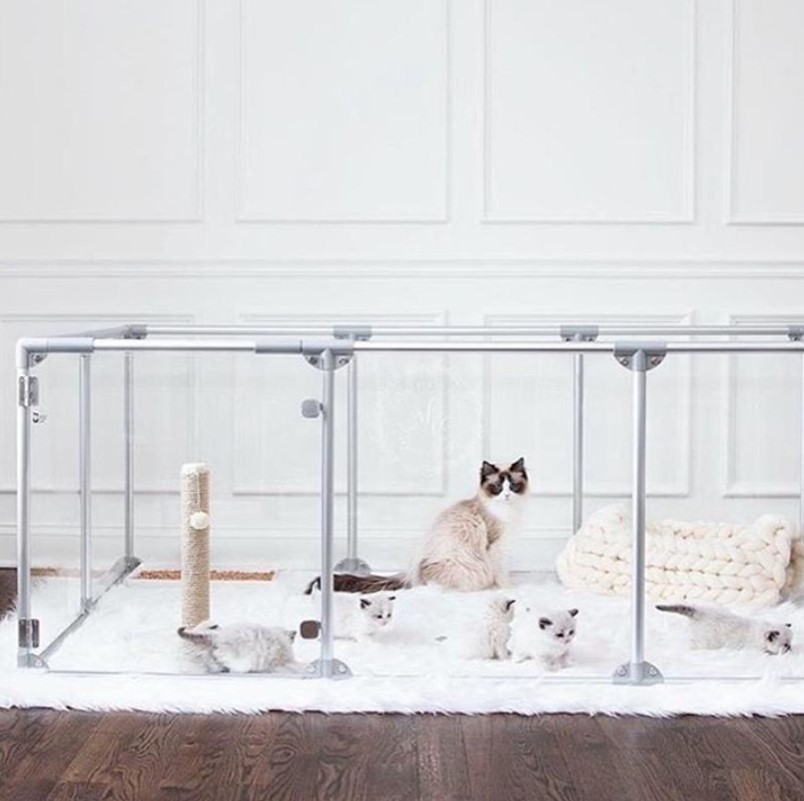 Lucidium Pen Universal 2 ft. Add-On Kit